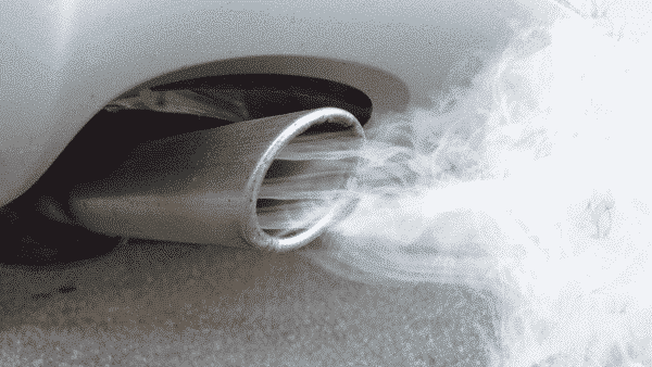 Emissions and Monkeys Scandal